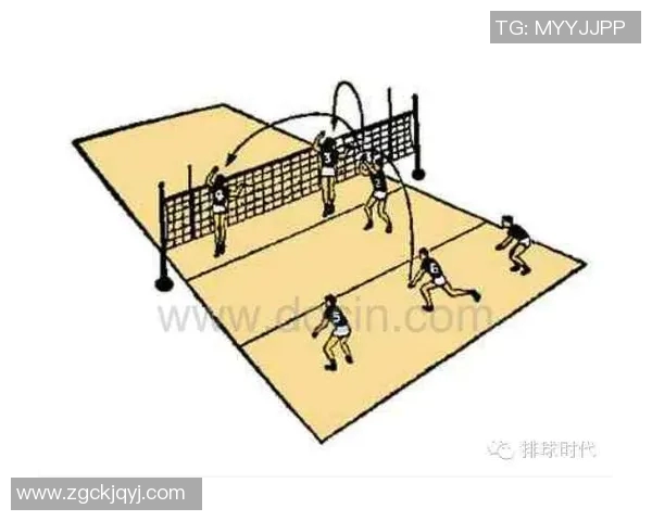 深圳排球队反击战术解析与实战应用探讨 深圳排球队反击战术解析与实战应用探讨