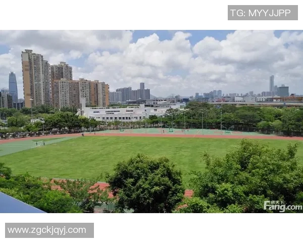 深圳滑板队的意识对比深度解析与未来发展趋势探讨