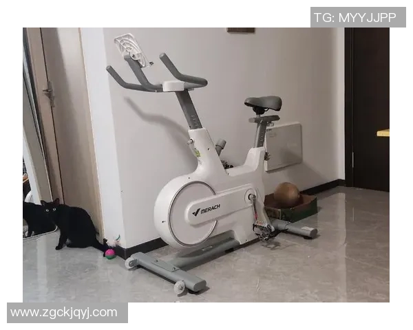 练手的健身器材:初学者适用的练手健身器材推荐 练手的健身器材:初学者适用的练手健身器材推荐